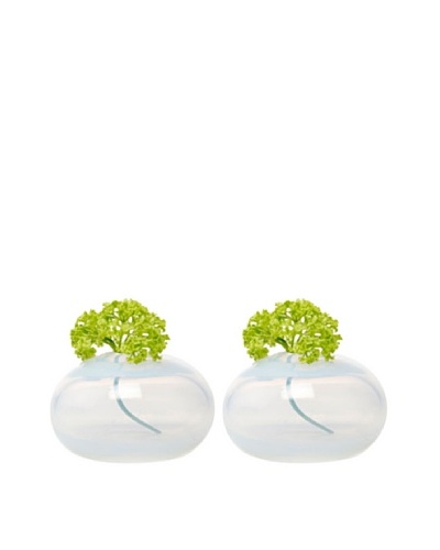 Chive Set of 2 Pearl Oval Vases