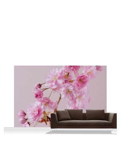 Clive Nichols Photography The Flowers of Prunus Kanzan Standard Mural - 12' x 8'