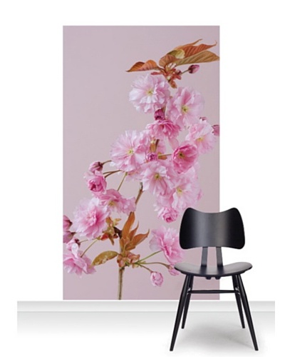 Clive Nichols Photography The Flowers of Prunus Kanzan Standard Mural [Accent]
