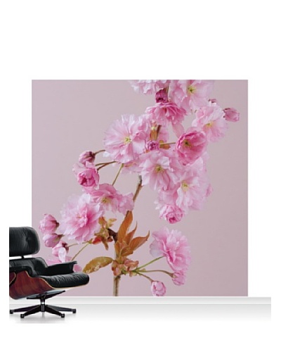 Clive Nichols Photography The Flowers of Prunus Kanzan Mural, Standard, 8' x 8'