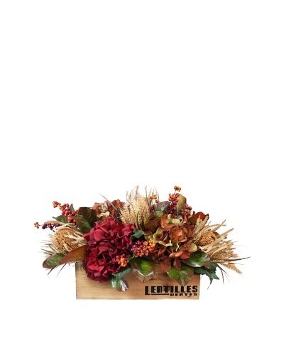 Creative Displays Lentiles Box of Hydrangea