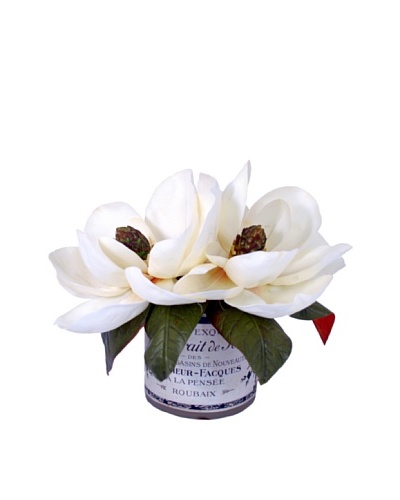 Creative Displays Magnolias in Label Pot, Cream