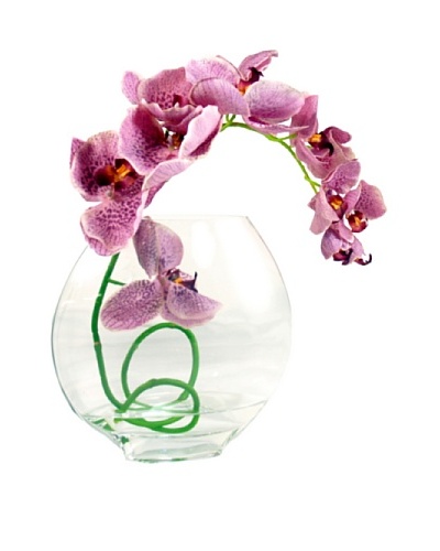 Creative Displays Lavender Orchid in Acrylic Water