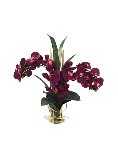 Creative Displays Purple Orchid in Half Moon Glass