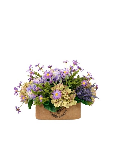 Creative Displays Lavender & Green Hydrangea with Daisy in Oval Planter