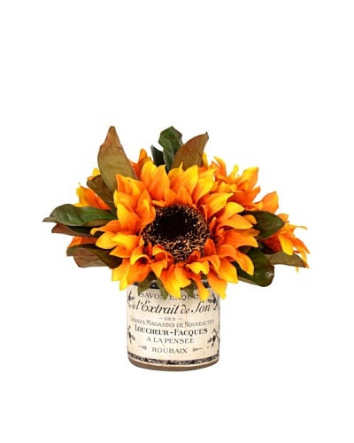 Creative Displays Sunflower in Label Pot