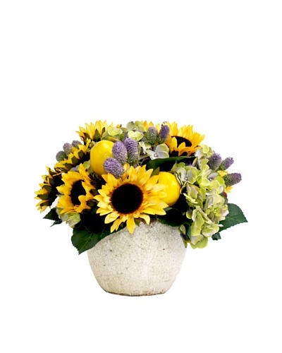 Creative Displays Sunflower & Hydrangea in Cream Pot