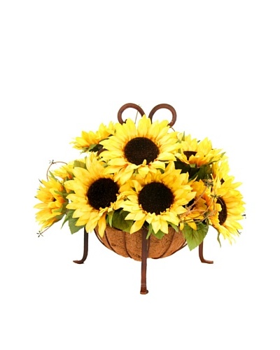 Creative Displays Sunflowers in Iron Basket
