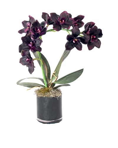 Creative Displays Purple Orchid in Black Cylinder
