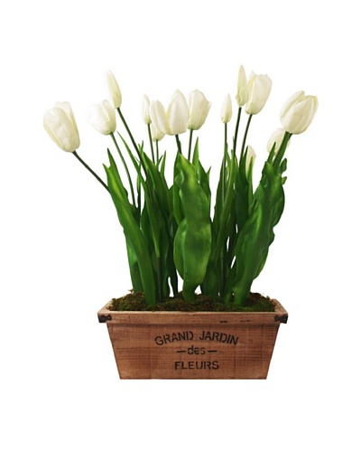 Creative Displays White Tulips in Jardin Pot