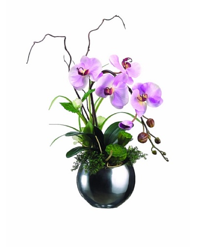 Orchid and Lotus Pod In Aluminum Vase