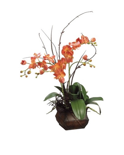 Phalaenopsis and Twig In Metal Container