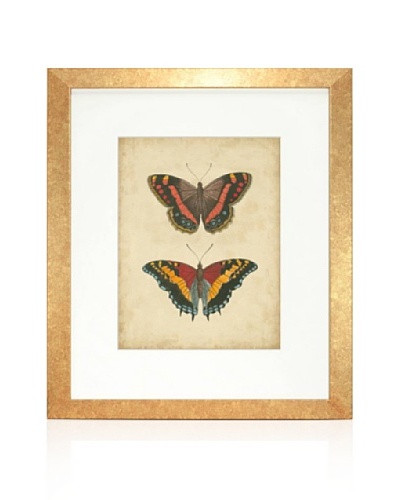 Antique Butterfly Pair IV