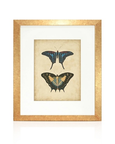 Antique Butterfly Pair III