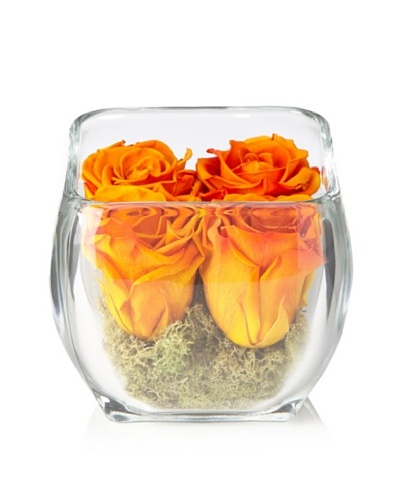 Glass Rose Cube - Orange