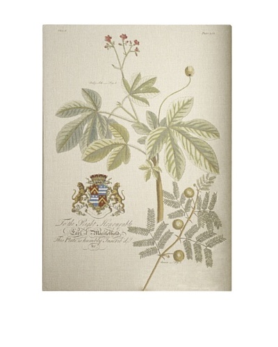 French Linen Collection Vintage Flora Tapestry