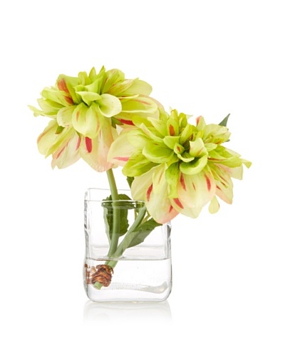 New Growth Designs Dahlia Cut Stems in Cube Vase with Faux Water, Red-Green