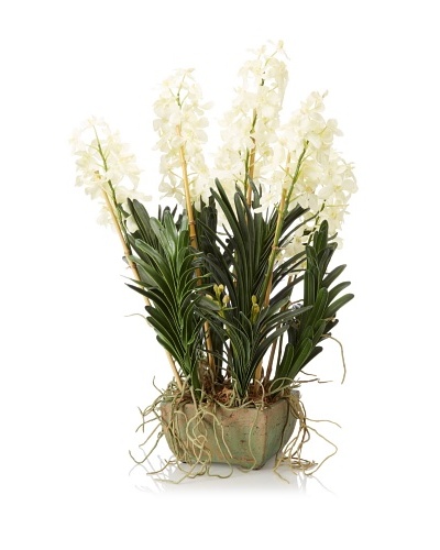New Growth Designs Vanda Orchid with Natural Bamboo Stakes
