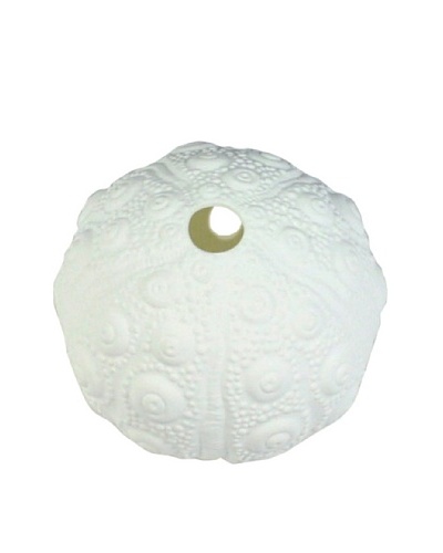 HomArt Urchin Bone China Wall Vase