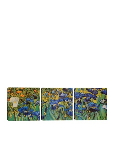 iCanvasArt Vincent Van Gogh: Irises Panoramic Giclée Triptych