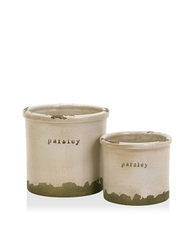 Set of 2 Parsley Sage Pots