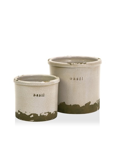 Set of 2 Basil Herb Pots