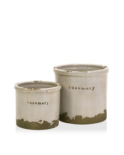 Set of 2 Rosemary Herb Pots