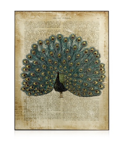 Peacock In Print Wall Decor