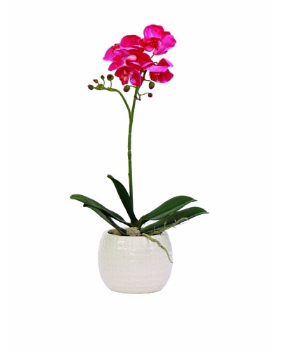 Lux-Art Silks Small Orchid In White Container
