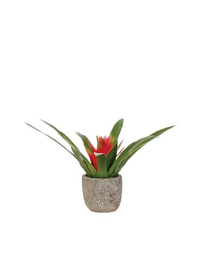 Lux-Art Silks Small Bromeliad Pot, Red/Green