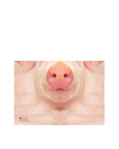MollaSpace Sniffing Notebook, Pig