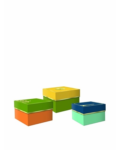 Molly & Rex Set of 3 Worldly Icons Storage BoxesAs You See