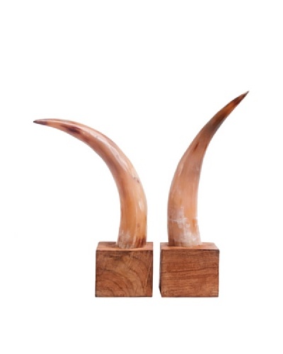 Moo-Moo Designs Horn Bookends, Light Natural