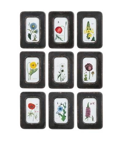 Napa Home and Garden Set of 9 Assorted Floral Prints with Distressed Wooden Frame