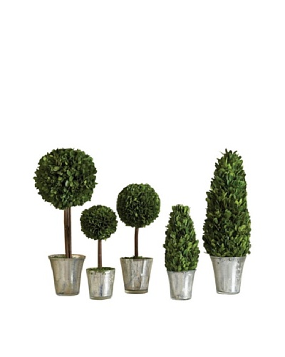 Napa Home and Garden Set of 5 Assorted Topiary in Mercury Glass Planters