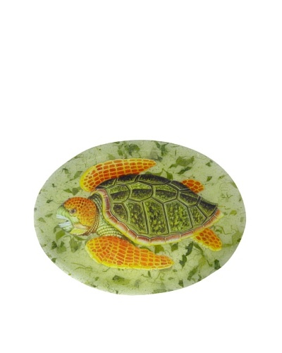 Victoria Fischetti Turtle on Green Handmade Decoupage