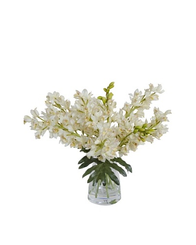 New Growth Designs Faux Cymbidium Orchids in Vase, White