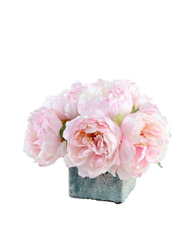 New Growth Designs Assorted Pink Peonies in Glazed Clay Cube Pot