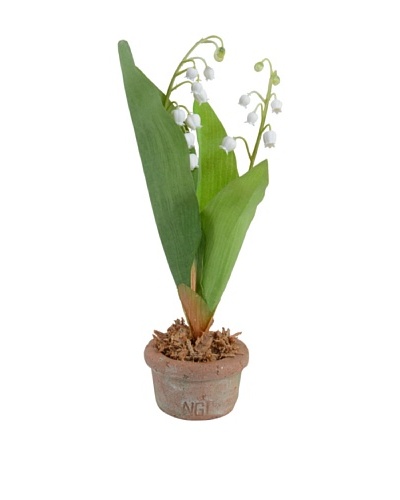 New Growth Designs Lily Of The Valley in Terracotta Pot