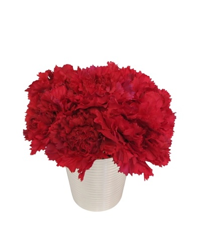 New Growth Designs Carnations in Silver Cup