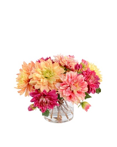 New Growth Designs Mixed Dahlia Arrangment in 6 Cylinder Vase
