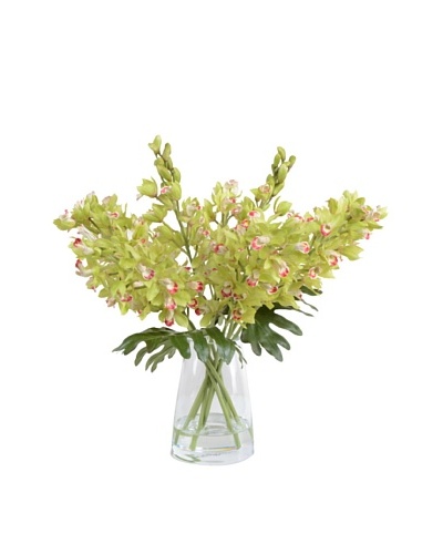 New Growth Designs Faux Cymbidium Orchid Vase, Green