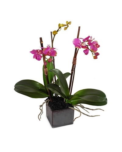 New Growth Designs Faux Pink Phalaenopsis Orchid