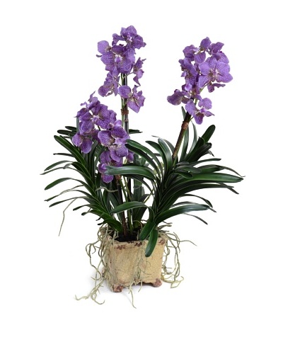 New Growth Designs Faux Vanda Orchid, Purple