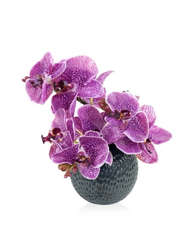 New Growth Designs Faux Phalaenopsis Orchid Arrangement