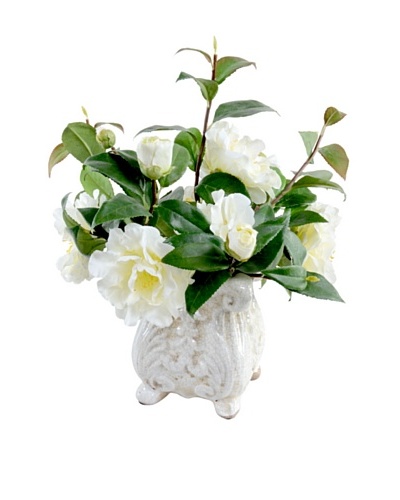 New Growth Designs Camellia Arrangement in French-Style Planter