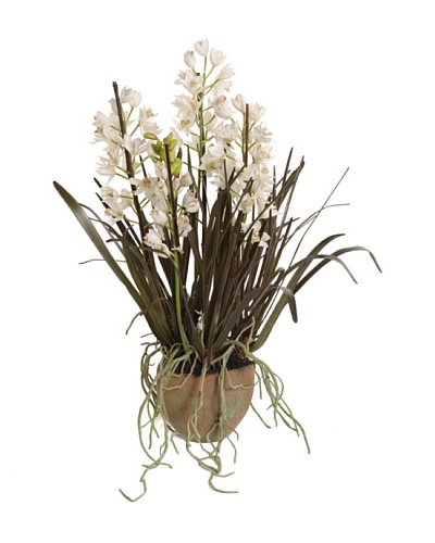 New Growth Designs Faux Cymbidium Orchid, White