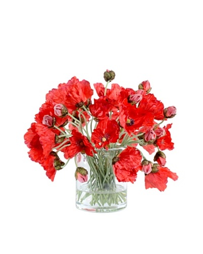 New Growth Designs Wild Poppy Stems in 6 Cylinder Vase