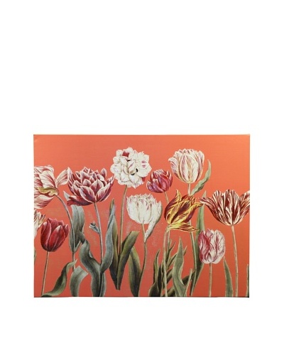 New York Botanical Garden Tulip Study Giclée on Canvas