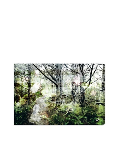 Oliver Gal Walk in the Woods Canvas Art